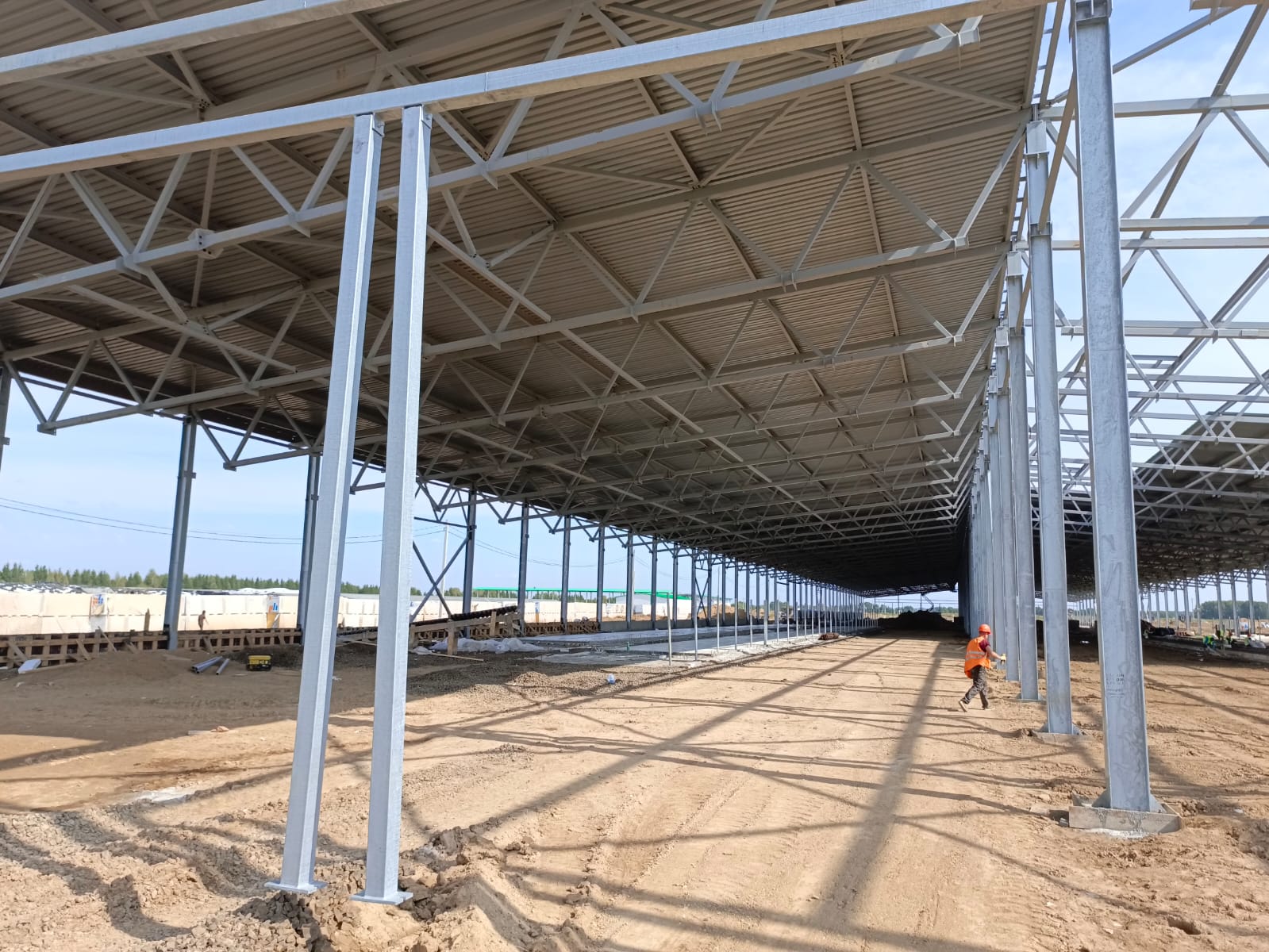 Спец.ферма, каркас коровника